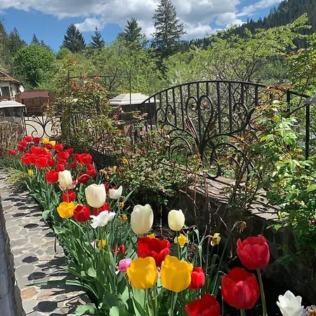 Ferienhaus світанкове сяйво Jaremtsche