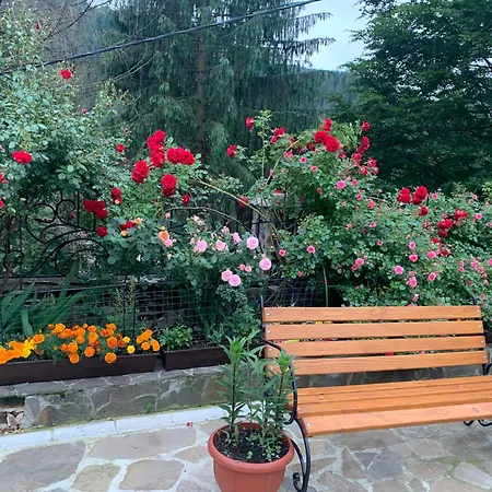 світанкове сяйво